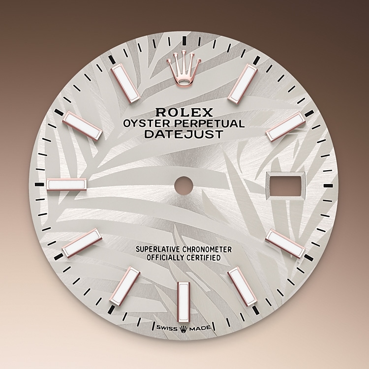 Silver dial Silver dial