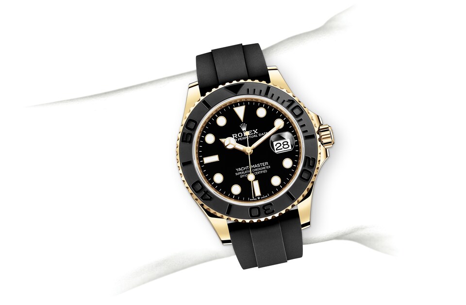 M226658-0001-on-wrist